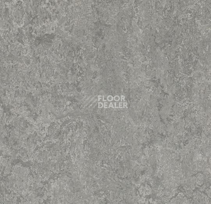 Линолеум Forbo Marmoleum Ohmex 73146 serene grey фото 1 | FLOORDEALER